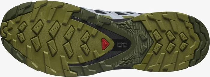 Salomon XA Pro 3D V8 GTX black/green moss/zen blue (Damen)