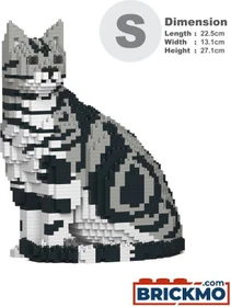 Jekca American Shorthair Cat 01S-M01