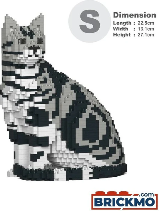 Jekca American Shorthair Cat 01S-M01
