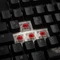 Ducky Shine 7 PBT, LEDs RGB, schwarz, MX RGB RED, USB, DE Vorschaubild