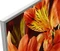 Sony KD-49XF8577 Vorschaubild