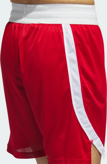 adidas Icon Squad Shorts team power red/white (Herren)