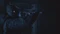 Resident Evil: Village - Winters' Expansion (Download) (Add-on) (PC) Vorschaubild