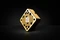 EK Water Blocks Quantum Line EK-Quantum Convection DDC, Gold Vorschaubild