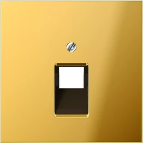 Jung Serie LS Abdeckung für IAE/UAE-Anschlussdose 1x 8-polig, goldfarben