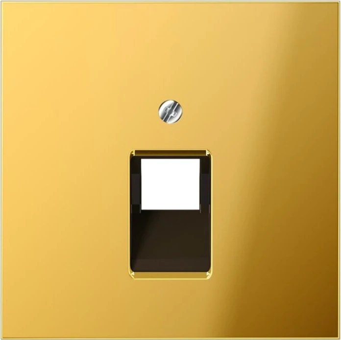 Jung Serie LS Abdeckung für IAE/UAE-Anschlussdose 1x 8-polig, goldfarben