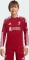 adidas Liverpool FC 2025/2026 Heimtrikot langarm (Junior) Vorschaubild