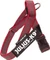 Julius K9 IDC Color & Gray Beltgeschirr XS Vorschaubild