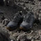 adidas Terrex Skychaser Ax5 Gore-Tex grey four/carbon/shadow navy (Herren) Vorschaubild