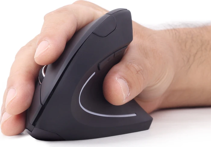 Gembird Ergonomic 6-Button Wireless Optical Mouse ERGO-01 schwarz, USB