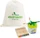 Jolly KITA Starter-Paket Aquarellstift sortiert, 23-teilig (9500-9917)
