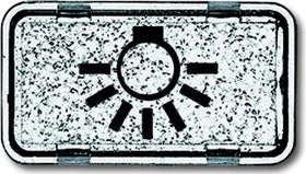 Busch-Jaeger Allwetter 44 Tastersymbol Licht