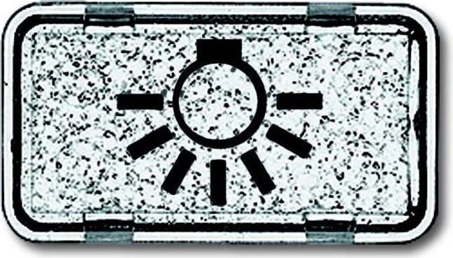 Busch-Jaeger Allwetter 44 Tastersymbol Licht