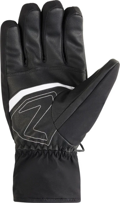 Ziener Galiso-Z GTX + Gore Plus Warm Skihandschuhe schwarz (Herren)