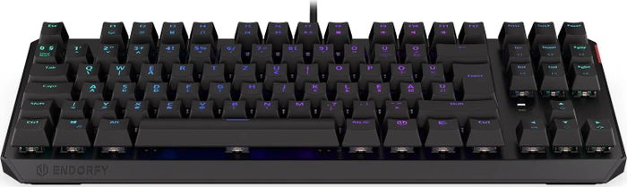 Endorfy Thock TKL, LEDs RGB, Kailh RED, USB, HU