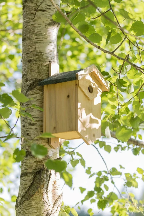 Trixie Nistkasten für Höhlenbrüter