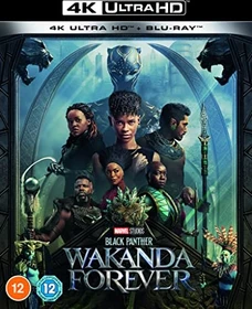 Black Panther - Wakanda Forever (Blu-ray)