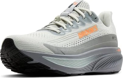 Brooks Ghost 17 GTX (Herren)