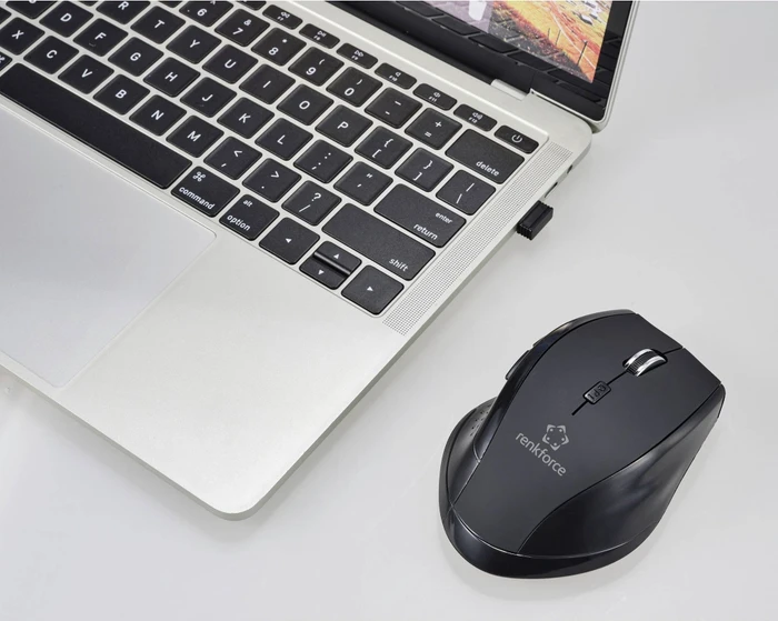 Renkforce RF-WM-210 Wireless Ergonomic Mouse schwarz, USB