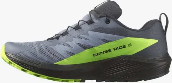 Salomon Sense Ride 5 GTX flint stone/black/green gecko (Herren)