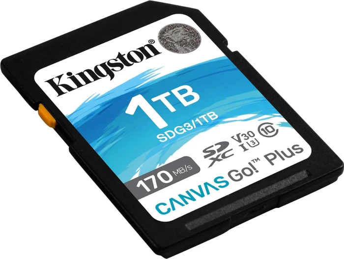 Kingston Canvas Go! Plus R170/W90 1TB, UHS-I U3, Class 10