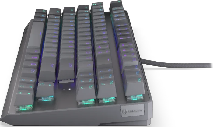 Endorfy Thock V2 TKL, PBT, grau, LEDs RGB, hot-swap, Endorfy RED, USB, US