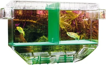 Hobby Nido 1, schwimmender Ableichkasten