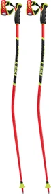 Leki WCR TBS GS 3D Alpin Skistock (Modell 2021/2022)
