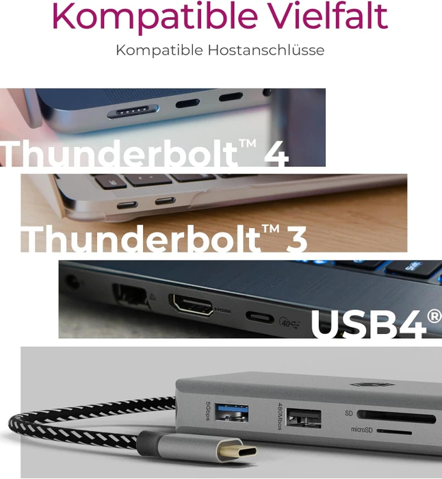 RaidSonic Icy Box IB-DK4012-CPD, USB-C 3.1 [Stecker]
