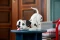 LEGO Disney - Welpe aus 101 Dalmatiner Vorschaubild