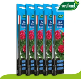 Westland Wasserstandsanzeiger für Blumenkasten 26cm grau