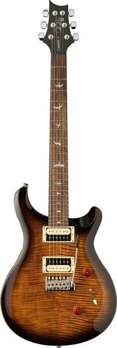 PRS SE Custom 24