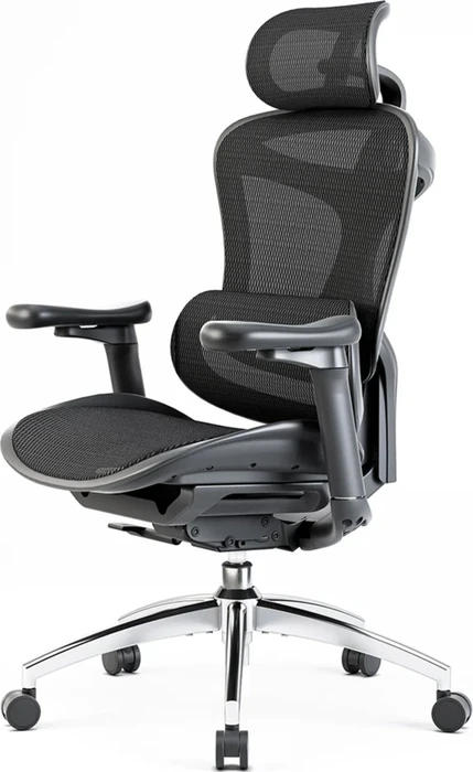 Sihoo Doro C300 Ergonomischer Bürostuhl, schwarz
