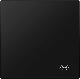 Jung Serie LS Wippe Symbol Licht, graphitschwarz matt