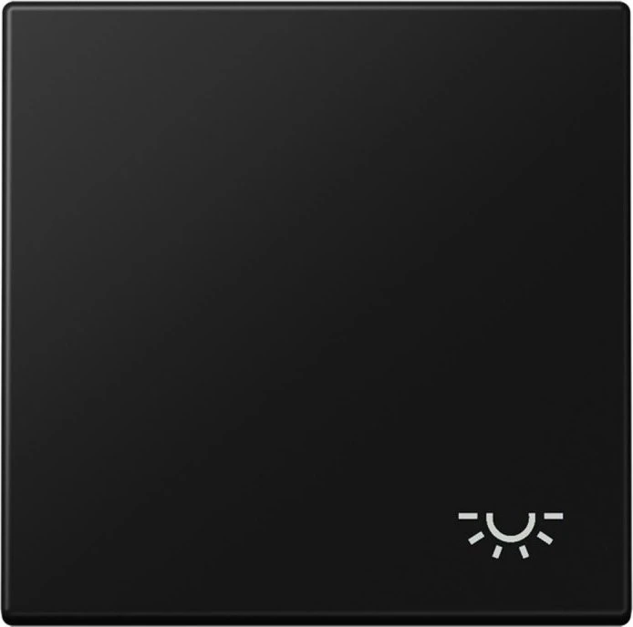 Jung Serie LS Wippe Symbol Licht, graphitschwarz matt