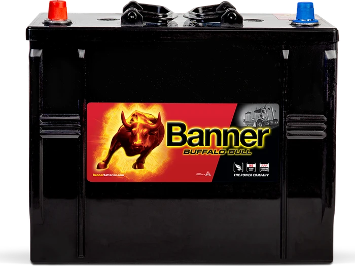 Banner Buffalo Bull 62513