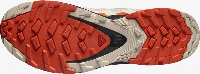 Salomon XA Pro 3D V8 GTX lunar rock/cherry tomato/sun kiss (Damen)