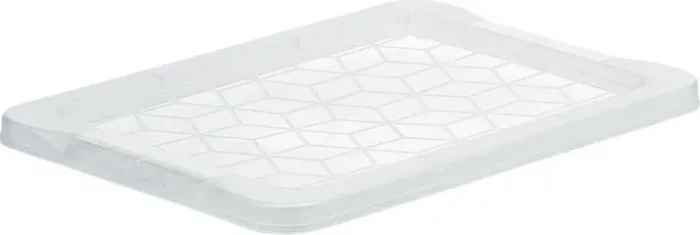 Rotho Evo Easy Storage Deckel für Aufbewahrungsbox 393x18x283mm, transparent/transparent