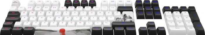 Dark Project Fuji Multilingual Keycaps, Kunststoff (PBT) Double-Shot, CSA-Profil, weiß/schwarz, 177 Tasten, ANSI & ISO