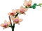 LEGO Botanicals - Mini-Orchidee Vorschaubild
