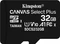 Kingston Canvas Select Plus R100 32GB, UHS-I U1, A1, Class 10 Vorschaubild