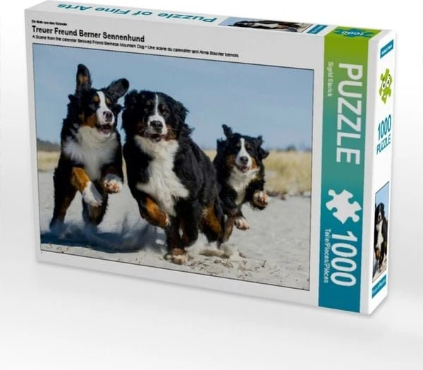 Calvendo Ein Motiv aus dem Kalender Treuer Freund Berner Sennenhund