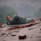 adidas Terrex Agravic BOA olive strata/wonder beige/semi impact orange (Junior) Vorschaubild