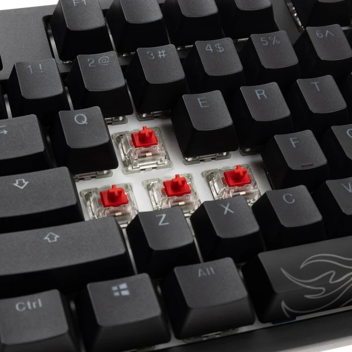 Ducky Shine 7 PBT, LEDs RGB, Blackout Edition, schwarz, MX RGB RED, USB, US