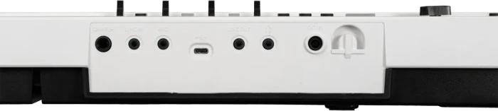 Korg Liano LIVE! – Bild 4 von 4
