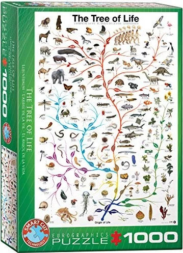 Eurographics The Tree of Life