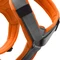 Hunter Geschirr Maldon Up, S-M, orange/grau Vorschaubild