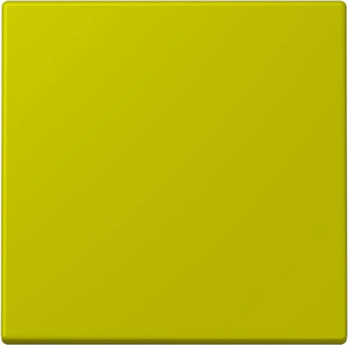 Jung Wippe 1-fach, vert olive vif