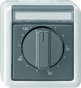 Gira Zeitschalter 120 Minuten 2-polig 16A 250V, grau