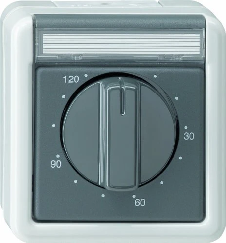 Gira Zeitschalter 120 Minuten 2-polig 16A 250V, grau